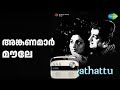 അങ്കണമാർ മൗലേ | Angathattu | K.J. Yesudas Songs | Adoor Bhasi | Usharani | Bahadoor