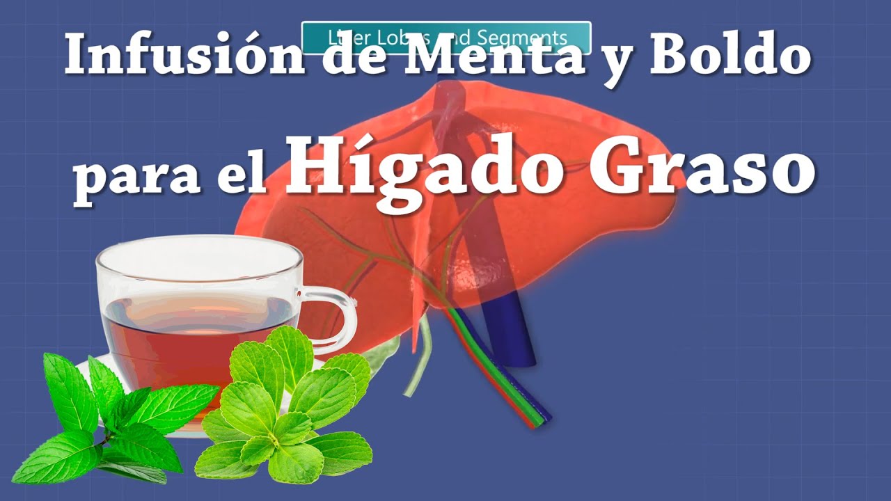 Infusión de menta y boldo para el HÍGADO GRASO
