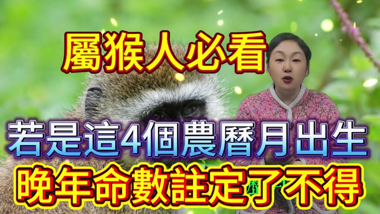 命裏有時終須有，命裏無時莫強求 屬猴人必看！若是這4個農曆月出生，晚年可是 “了不得”！快對照看看你家有嗎？#運勢 #十二属相 #生肖 #星座 #補財庫旺財氣 #財富 #分享