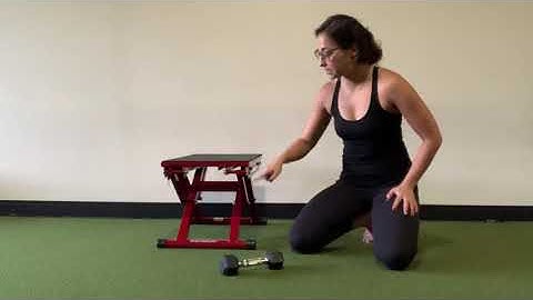 Quadruped Single Arm Raise (elbow on bench)