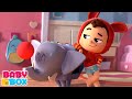 Lea and pop Bola pertunjukan kartun + lebih episode animasi untuk anak