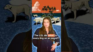 The government did WHAT to dogs on this island?!