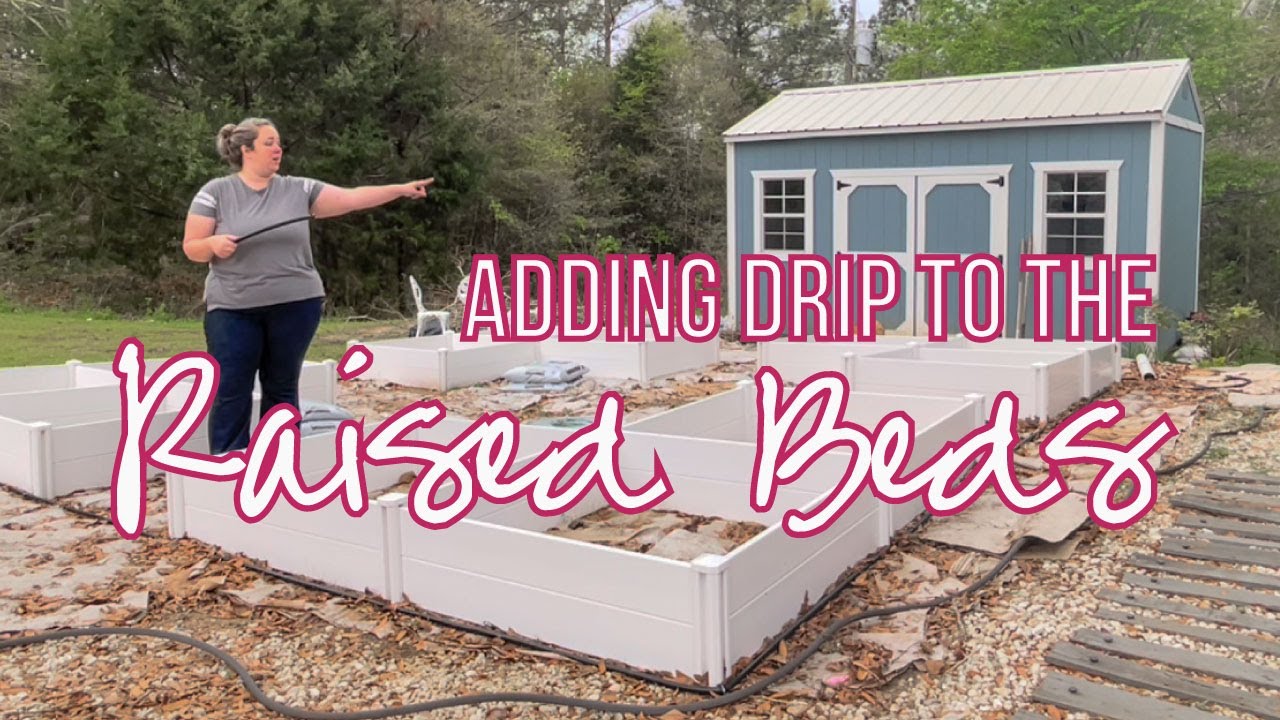Adding Drip Irrigation to the Raised Beds (Automatic Watering for the