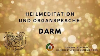 Meditation Darm (energetisch) seelisch