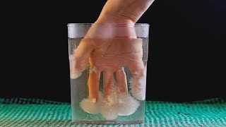 Issiq Muz Tajribasi.