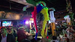 OJOS LOCOS DALLAS BIKINI CONTEST 2025- COSTUME WALK 8-6-25 #bikinicontest #bikini #contest #women