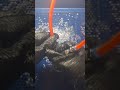 NORDBERG NW150 Мойка деталей двс. Принцип работы.