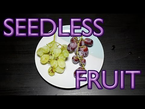 Cara Cara Seedless