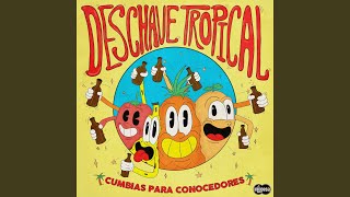 Vignette de la vidéo "Los Walkers - Balsero del Titicaca"