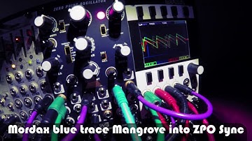 Steady State Fate Zero Point Oscillator SSF ZPO First Patch