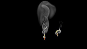 Fire Simulation with Navier-Stokes Equations in Processing3