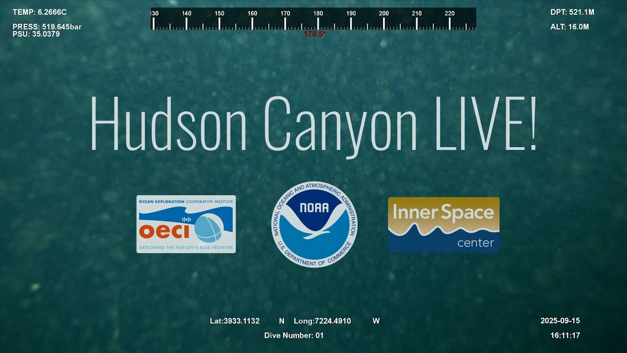 Hudson Canyon Daily Livestreams!