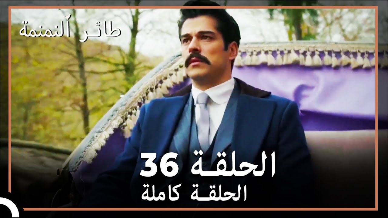 36 طائر النمنمة | الحلقة