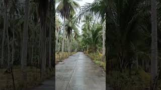 VID 20260501 115348