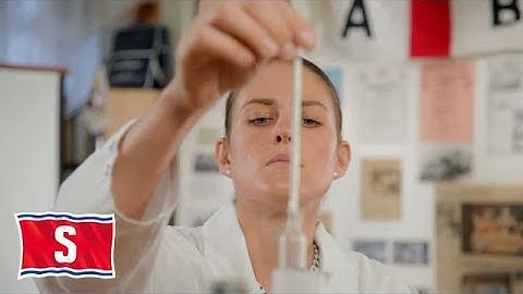 Naval Architect Lillie knows how things work