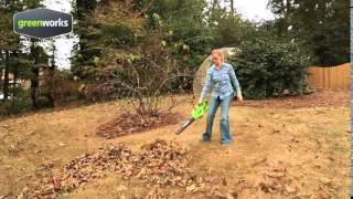 Greenworks G-MAX 40V DigiPro Brushless Blower Vac