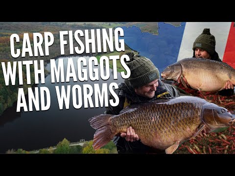 Carp Fishing with Maggots and Worms, Roo Abbott, French Carp Fishing