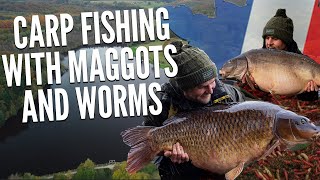 Carp Fishing with Maggots and Worms | Roo Abbott | French Carp Fishing | One More Cast