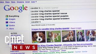 Google drops Instant Search, Waze heads to Android Auto
