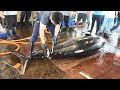 Amazing Knife Dissection of Giant Bluefin Tuna