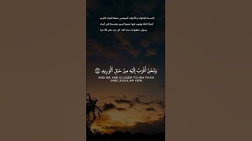 اكتشف نعمة السكينة والهدوء من خلال تلاوة القرآن الكريم #القرآن_الكريم #راحة_نفسية  #المصحف