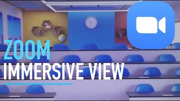 How To Use Immersive View in Zoom for PC