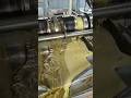 Small Oil Press Machine for Business | Best Choice for Oil Startup Production #oilpressmachine