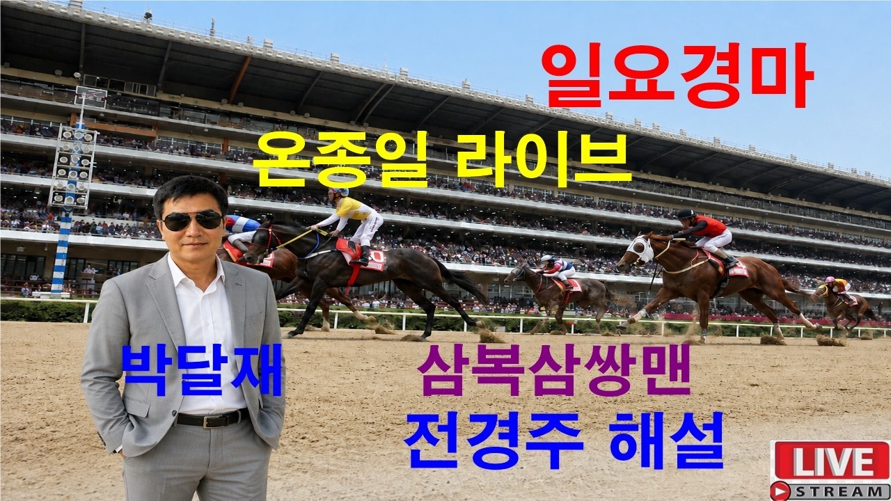 #경마예상#8월9일#일요경마#온종일 라이브#삼복삼쌍맨#박달재#경마 분석 전문 채널#복병마 발굴#정확한 분석#전개포인트 제시