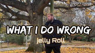 Jelly Roll - What i do wrong