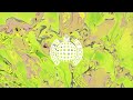 DRIIA - A LITTLE LIFE (Daydreaming Version) | Ministry of Sound