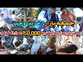             150000   most unique pigeons in bazar