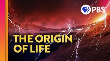 Where Did Life Come From? (feat. PBS Space Time and Eons!)