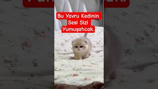 Bu Yavruya Sahip Olmak İster Misiniz ?