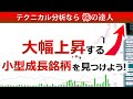 大幅上昇する小型成長銘柄の見つけ方