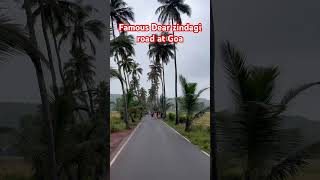 Goa Famous Coconut Tree Road #dearzindagi #srk #aliabhatt #goa #coconutgrove #movies #shoot