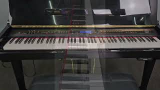 Lot #30 Suzuki Mini Grand Compact Digital Piano