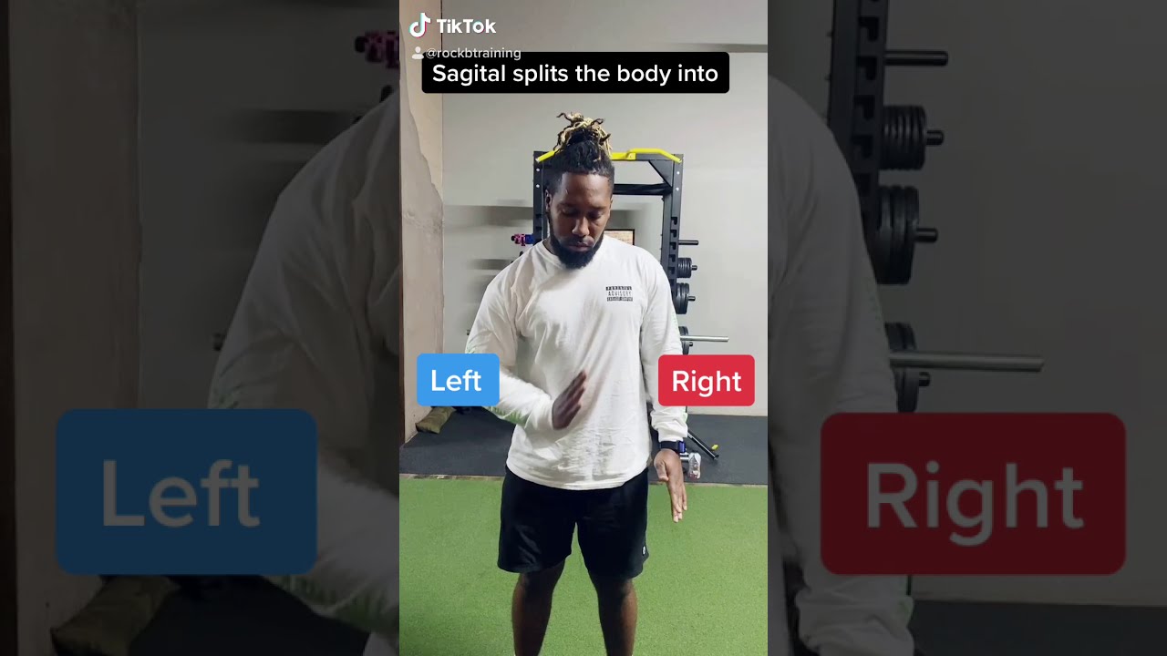 The 3 planes of motion