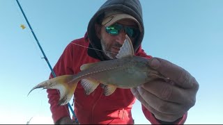 El tip de la semana, nunca te puede faltar en la mochila, bolso, valija de pesca...😉😎