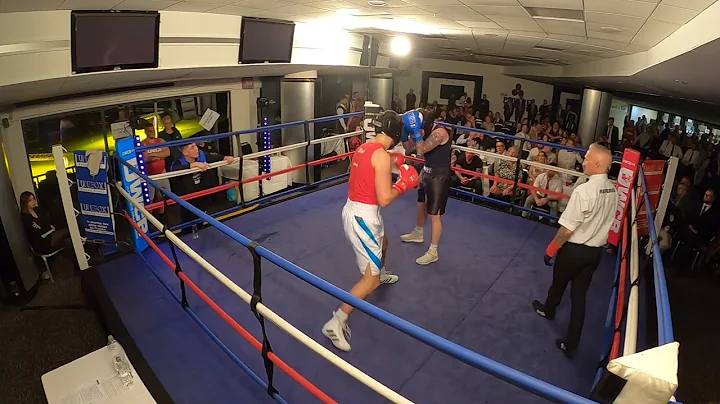 Derby | Pedigree Room | Ultra White Collar Boxing ...