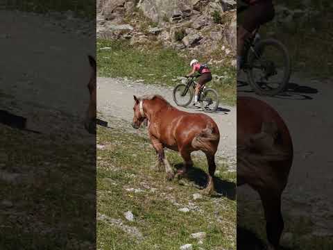 Andorra Epic 2026 | Horse Power