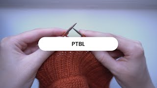 Ptbl Purl Through The Back Loop Beginner Friendly Knitting Tutorial The Stitchling