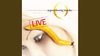 Video thumbnail of "A Perfect Circle - Weak and Powerless (Live)"