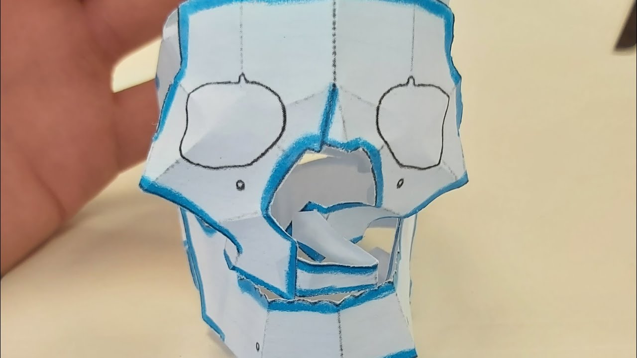 Traumatología y Ortopedia. Lesiones en la cabeza y malformaciones ...