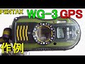 ジャンク】2750円 アウトドアコンデジ PENTAX WG-3 GPS 動作確認・作例