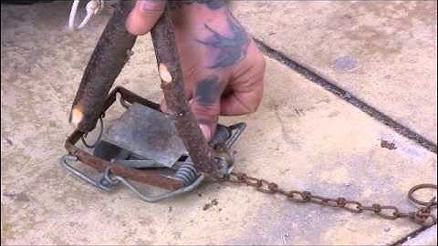 Survival Trapping : how i set my fenn trap