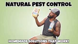 Aphid Solutions: How to Get Rid of Pests (And Prevent Them!)