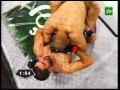 Desert force iv  mahmoud salama egy vs hashem arkhagha jor  roya