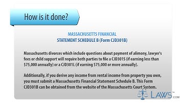 Form CJD301B Financial Statement Schedule B