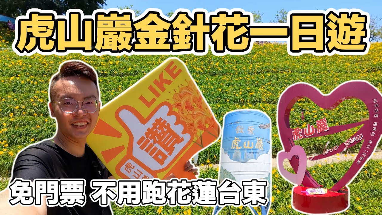 【ManLife】彰化花壇虎山巖金針花季一日遊｜歷年最美 花海在這裡 阿來羊肉湯Changhua one day tour 《阿滿生活｜彰化》