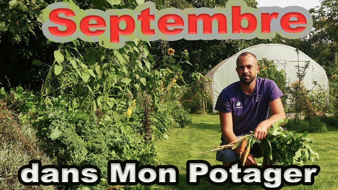 Quoi faire dans son jardin potager en septembre